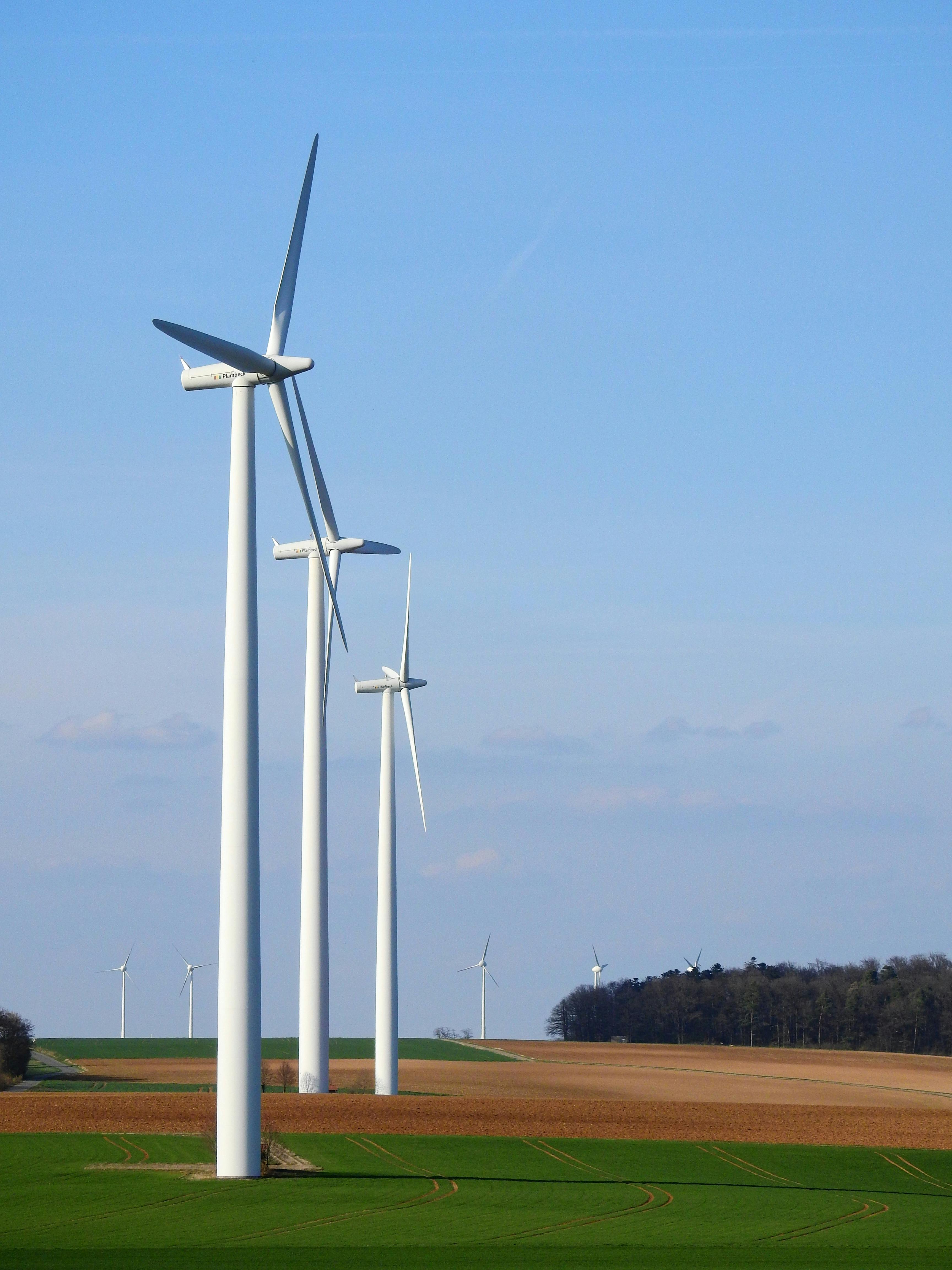 Wind turbines generating renewable energy